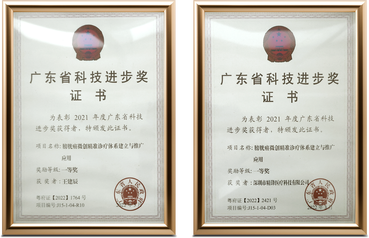 廣東省科技進步獎證書